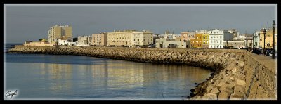 Cadiz-07-619.jpg