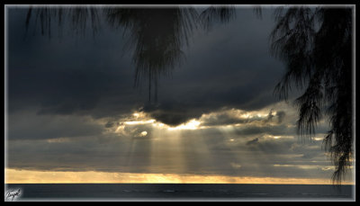 Mauricio_0239-w.jpg