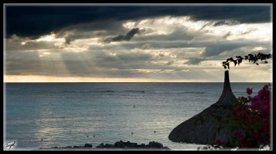 Mauricio_0253-w.jpg