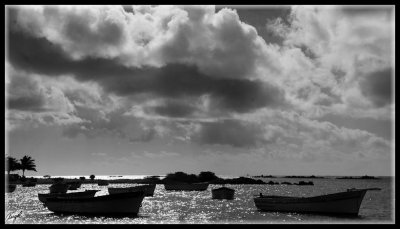 Mauricio_0644b-w.jpg