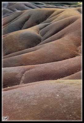 Mauricio_0978-w.jpg
