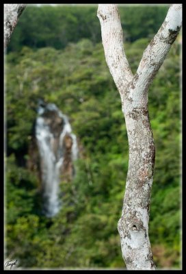 Mauricio_1059-w.jpg