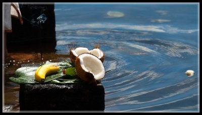 Mauricio_1493-w.jpg