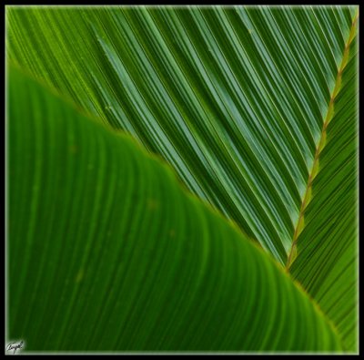 Mauricio_2073-w.jpg