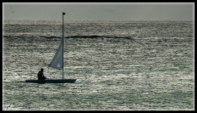 Mauricio_2736-w.jpg