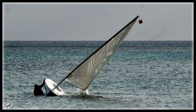Mauricio_2770-w.jpg