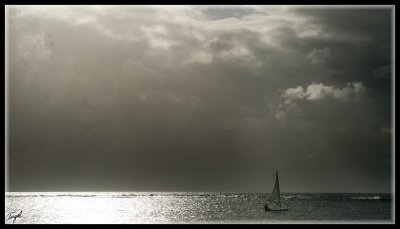 Mauricio_2794-w.jpg