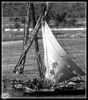 Egipto-2141.jpg