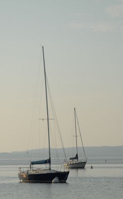 Sailboats2.jpg