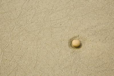 KY1U8206_stone.jpg