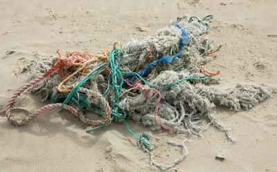 KY1U8233_fishnet .jpg