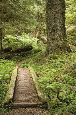 Olympic Peninsula, Washington