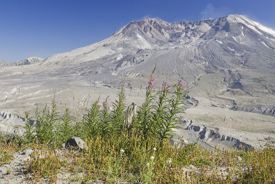 Mount St Helens, Washington