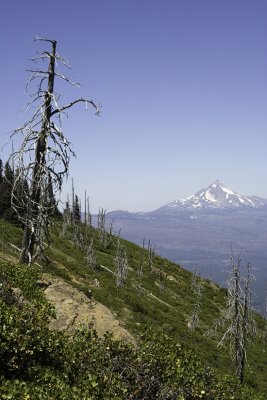 IMG_2575-Edit.jpg