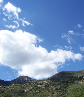 Kitt Peak National Observatory, Tucson, AZ