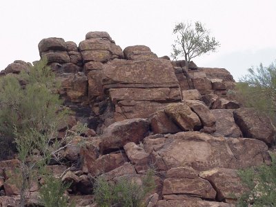 Arizona Petroglyphs
