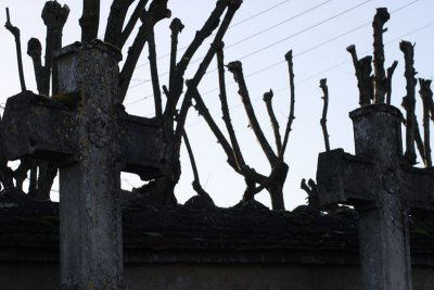 Joigny: A Cemetery