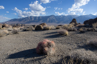 Alabama Hills Day 12