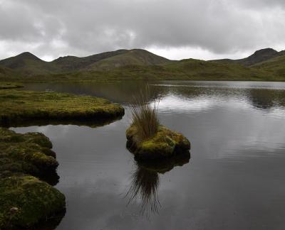 Some lake