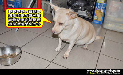 g4/66/374766/3/145425751.hadcMaHG.jpg