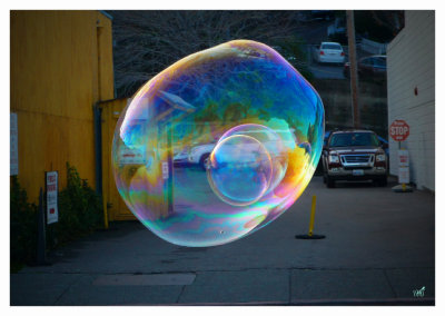 The bubble