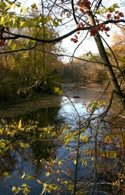 bend in the river