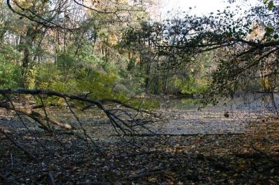 low water mark on the bank