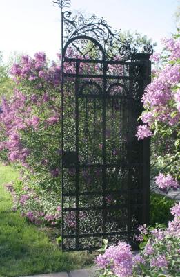 gate side and lilacs