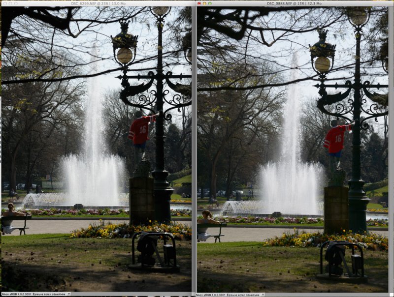 comparaison dynamique Nikon D700/D800 suite