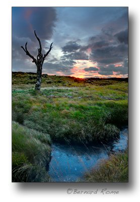 Rannoch mor