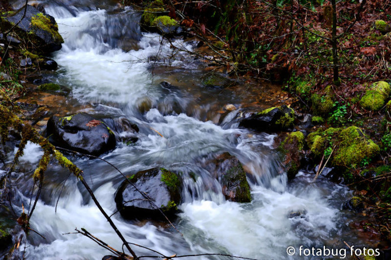 D3-031111-136.jpg