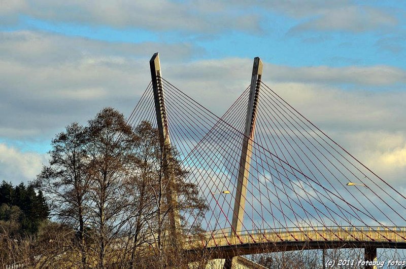 Delta Ponds Bridge, Another View