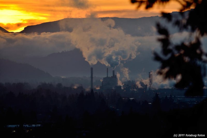 International Paper Company at sunrise