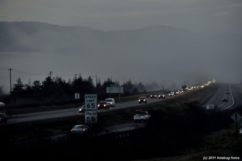 Oregon Sunshine, The Beginning of a New Day