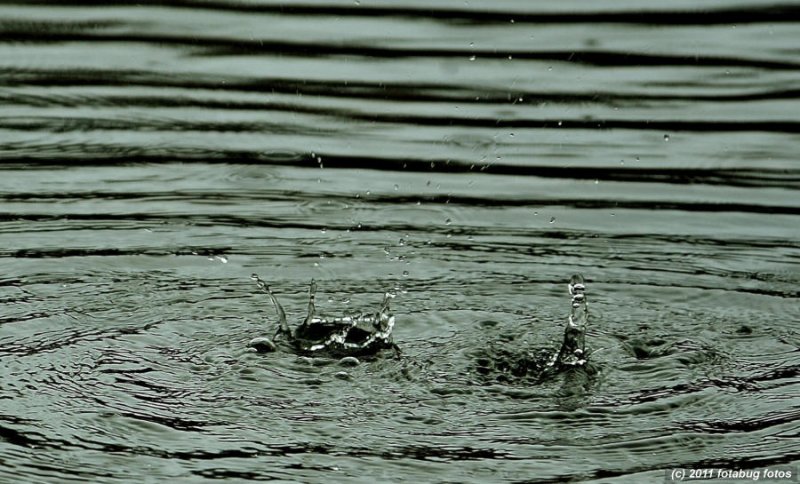 Rain Drops