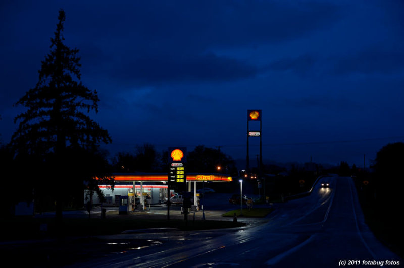 Shell In The Dark