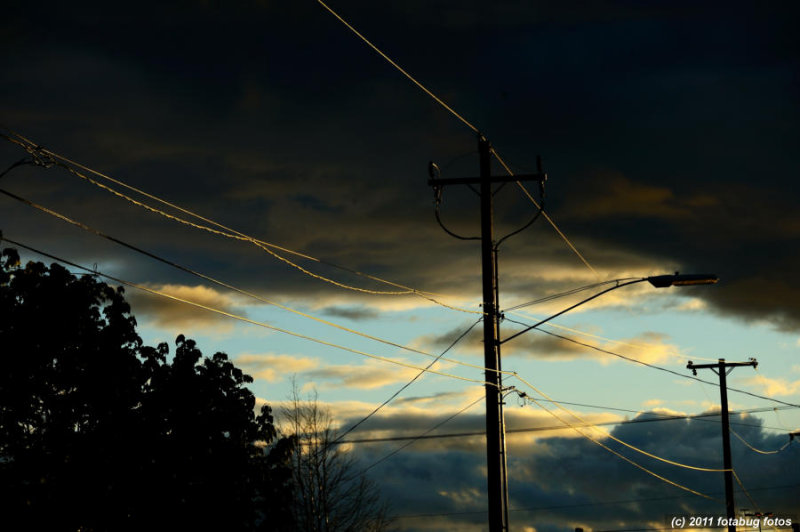 Wired