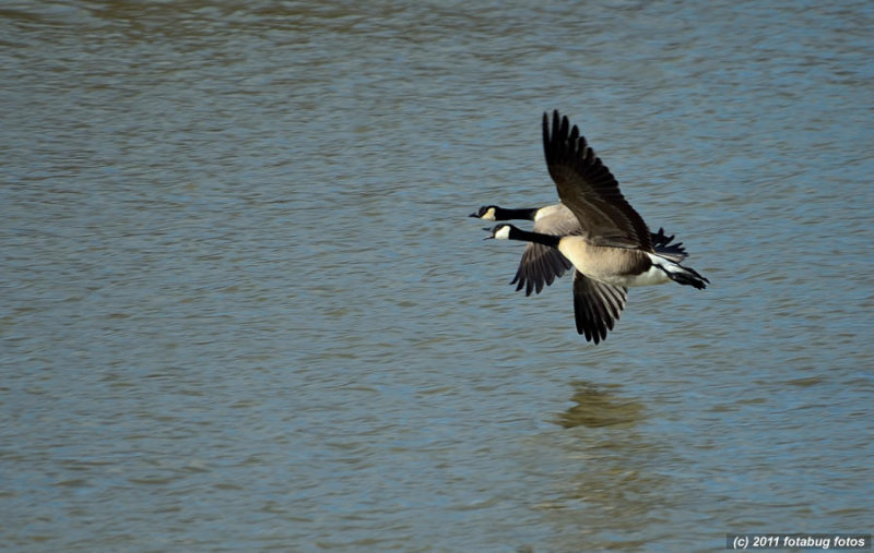 Formation Flying