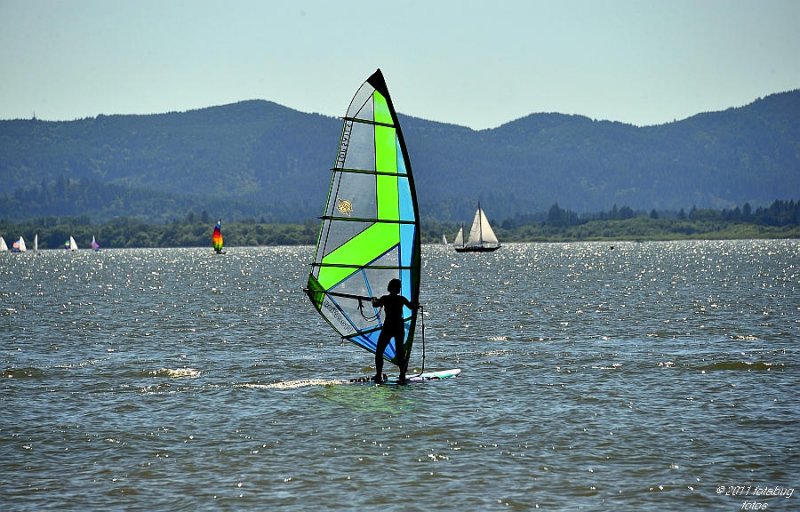 A Sailboarder On Fern Ridge Lake