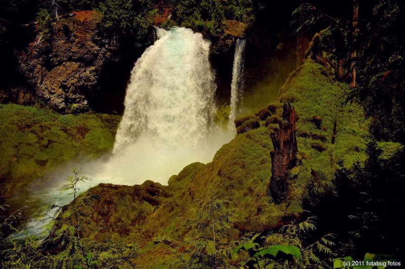 Sahalie Falls on the McKenzie River