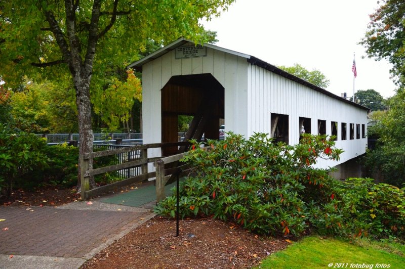 Centennial Covered Bridge in Cottage Grove