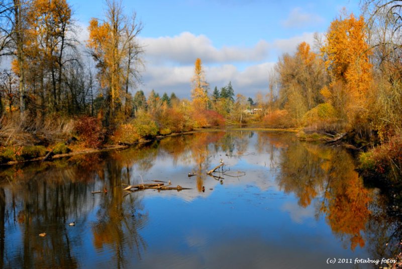 Delta Ponds