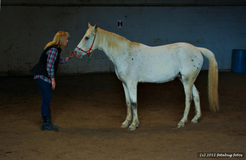 Angie Working With Cloud