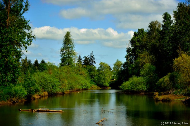 The Beauty of Delta Ponds