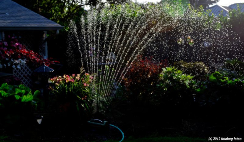 Watering
