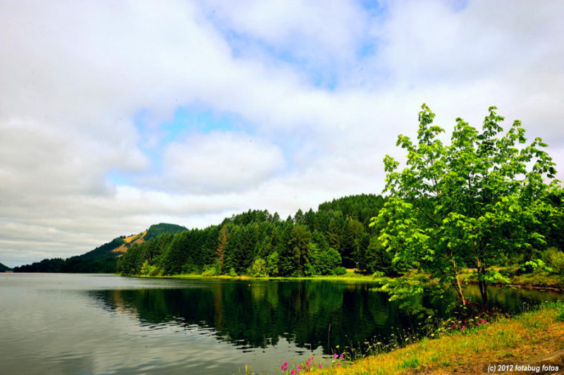 Lakeside Reflection