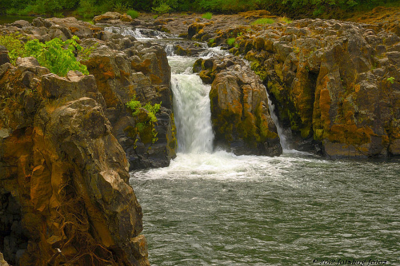 Wildwood Falls