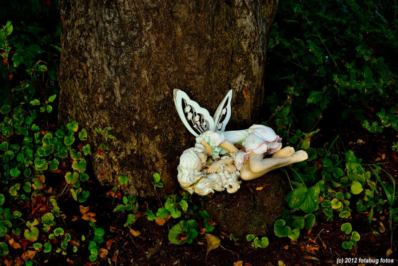 Woodland Sprite