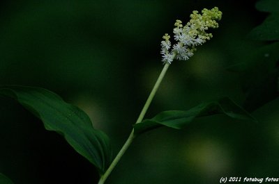 D3-050511-057.jpg