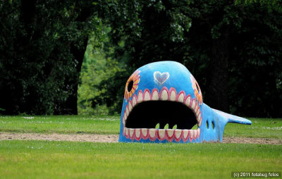 This Whale's Got Some Real Teeth!